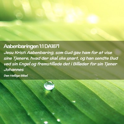 Picture 02 - Aabenbaringen 1:1 DA1871 - Jesu Kristi Aabenbaring, som Gud gav ham for at - Bible Verse Picture