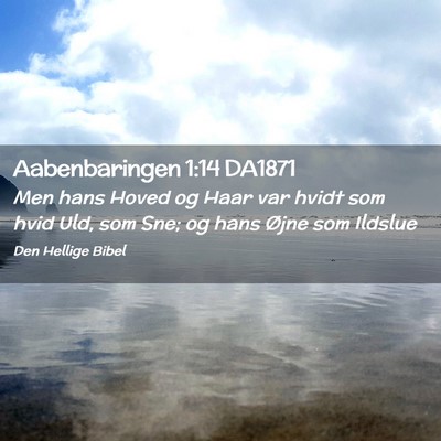 Picture 02 - Aabenbaringen 1:14 DA1871 - Men hans Hoved og Haar var hvidt som hvid Uld, - Bible Verse Picture