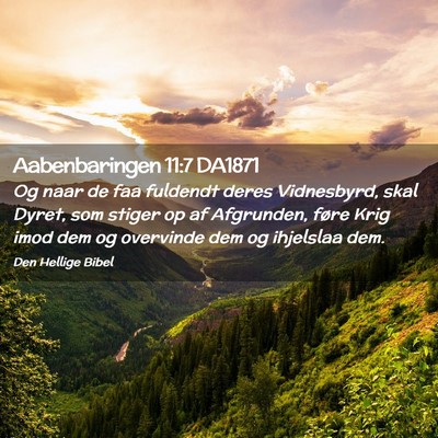 Picture 02 - Aabenbaringen 11:7 DA1871 - Og naar de faa fuldendt deres Vidnesbyrd, skal - Bible Verse Picture