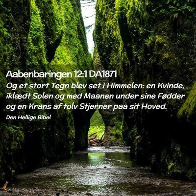 Picture 02 - Aabenbaringen 12:1 DA1871 - Og et stort Tegn blev set i Himmelen: en Kvinde, - Bible Verse Picture