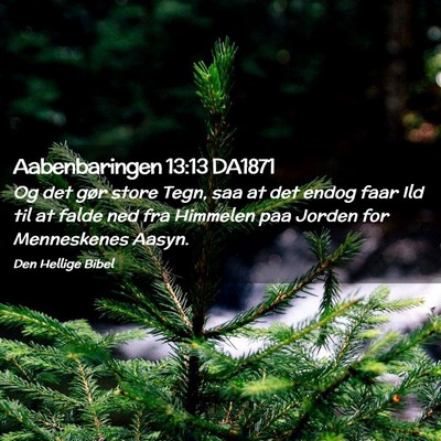 Picture 02 - Aabenbaringen 13:13 DA1871 - Og det gør store Tegn, saa at det endog faar Ild - Bible Verse Picture