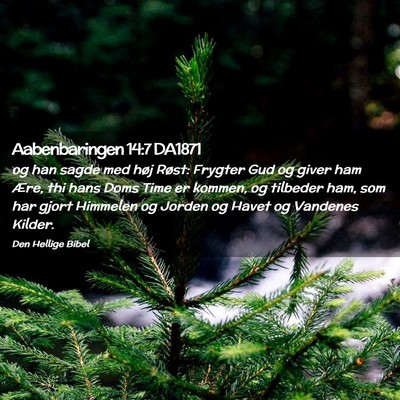 Picture 02 - Aabenbaringen 14:7 DA1871 - og han sagde med høj Røst: Frygter Gud og giver - Bible Verse Picture