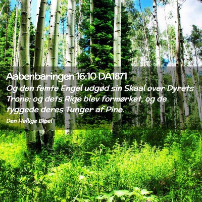 Picture 02 - Aabenbaringen 16:10 DA1871 - Og den femte Engel udgød sin Skaal over Dyrets - Bible Verse Picture