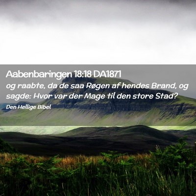 Picture 02 - Aabenbaringen 18:18 DA1871 - og raabte, da de saa Røgen af hendes Brand, og - Bible Verse Picture