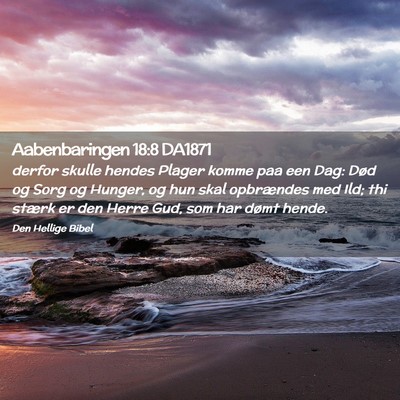 Picture 02 - Aabenbaringen 18:8 DA1871 - derfor skulle hendes Plager komme paa een Dag: - Bible Verse Picture