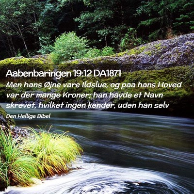 Picture 02 - Aabenbaringen 19:12 DA1871 - Men hans Øjne vare Ildslue, og paa hans Hoved - Bible Verse Picture