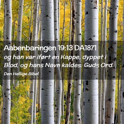 Picture 02 - Aabenbaringen 19:13 DA1871 - og han var iført en Kappe, dyppet i Blod, og - Bible Verse Picture