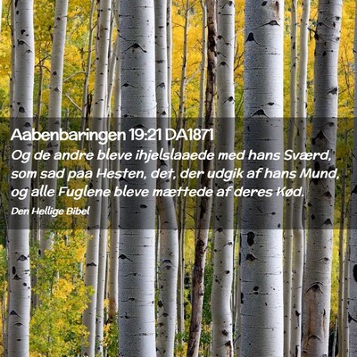 Picture 02 - Aabenbaringen 19:21 DA1871 - Og de andre bleve ihjelslaaede med hans Sværd, - Bible Verse Picture