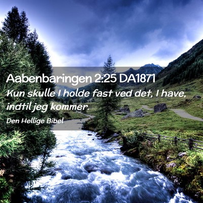 Picture 02 - Aabenbaringen 2:25 DA1871 - Kun skulle I holde fast ved det, I have, indtil - Bible Verse Picture