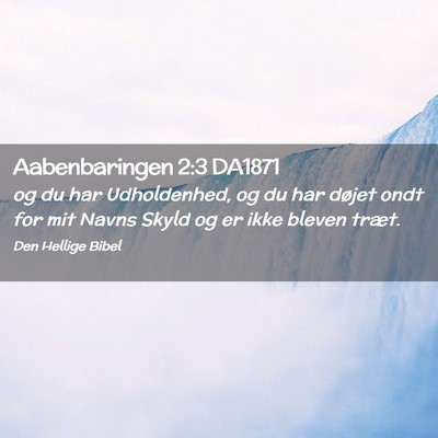 Picture 02 - Aabenbaringen 2:3 DA1871 - og du har Udholdenhed, og du har døjet ondt for - Bible Verse Picture