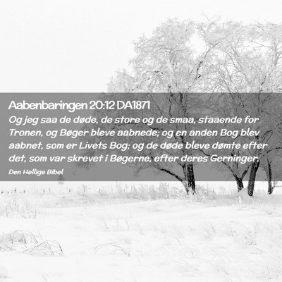 Picture 02 - Aabenbaringen 20:12 DA1871 - Og jeg saa de døde, de store og de smaa, - Bible Verse Picture