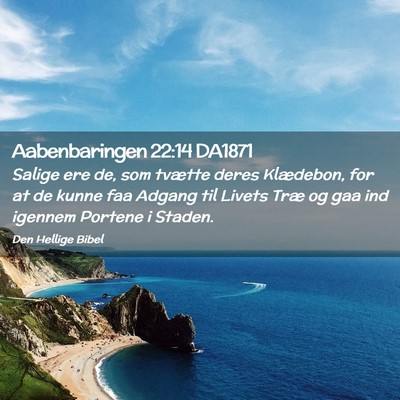 Picture 02 - Aabenbaringen 22:14 DA1871 - Salige ere de, som tvætte deres Klædebon, for - Bible Verse Picture