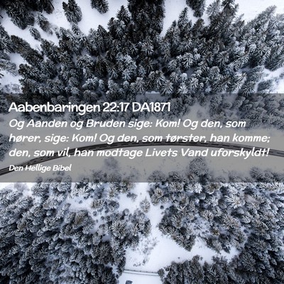 Picture 02 - Aabenbaringen 22:17 DA1871 - Og Aanden og Bruden sige: Kom! Og den, som - Bible Verse Picture