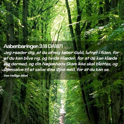 Picture 02 - Aabenbaringen 3:18 DA1871 - Jeg raader dig, at du af mig køber Guld, lutret - Bible Verse Picture