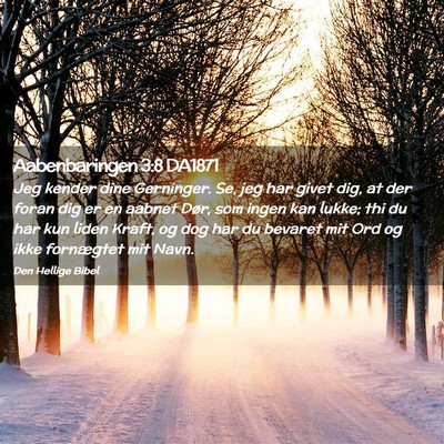 Picture 02 - Aabenbaringen 3:8 DA1871 - Jeg kender dine Gerninger. Se, jeg har givet dig, - Bible Verse Picture