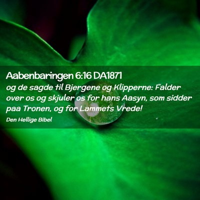 Picture 02 - Aabenbaringen 6:16 DA1871 - og de sagde til Bjergene og Klipperne: Falder - Bible Verse Picture