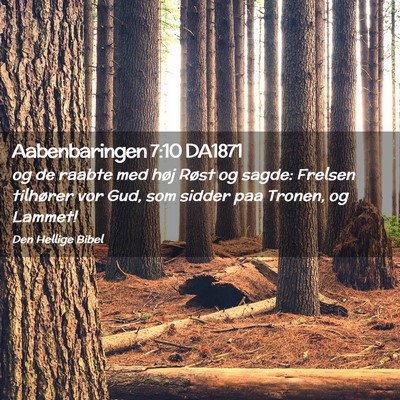 Picture 02 - Aabenbaringen 7:10 DA1871 - og de raabte med høj Røst og sagde: Frelsen - Bible Verse Picture