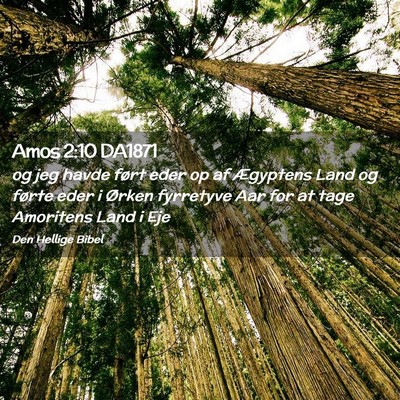 Picture 02 - Amos 2:10 DA1871 - og jeg havde ført eder op af Ægyptens Land og - Bible Verse Picture
