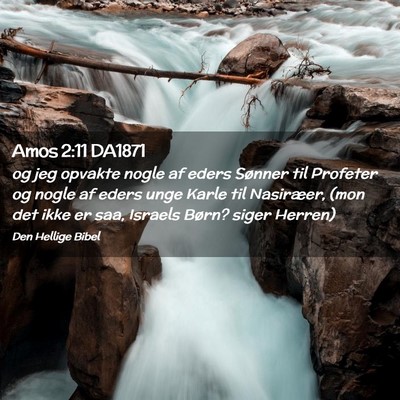 Picture 02 - Amos 2:11 DA1871 - og jeg opvakte nogle af eders Sønner til - Bible Verse Picture