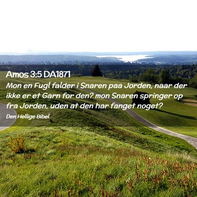 Picture 02 - Amos 3:5 DA1871 - Mon en Fugl falder i Snaren paa Jorden, naar der - Bible Verse Picture