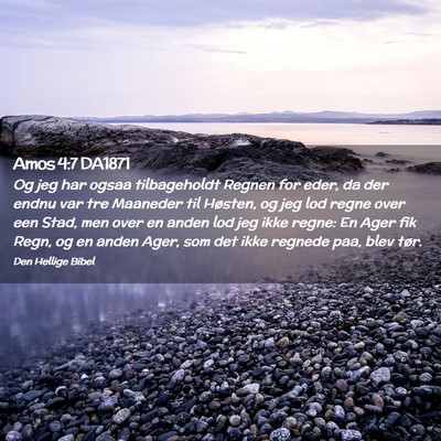 Picture 02 - Amos 4:7 DA1871 - Og jeg har ogsaa tilbageholdt Regnen for eder, da - Bible Verse Picture