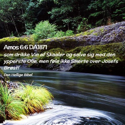 Picture 02 - Amos 6:6 DA1871 - som drikke Vin af Skaaler og salve sig med den - Bible Verse Picture