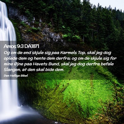 Picture 02 - Amos 9:3 DA1871 - Og om de end skjule sig paa Karmels Top, skal jeg - Bible Verse Picture