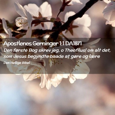 Picture 02 - Apostlenes Gerninger 1:1 DA1871 - Den første Bog skrev jeg, o Theofilus! om alt - Bible Verse Picture
