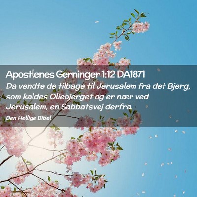 Picture 02 - Apostlenes Gerninger 1:12 DA1871 - Da vendte de tilbage til Jerusalem fra det Bjerg, - Bible Verse Picture