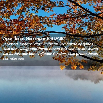 Picture 02 - Apostlenes Gerninger 1:16 DA1871 - „I Mænd, Brødre! det Skriftens Ord burde - Bible Verse Picture
