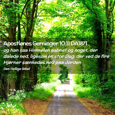 Picture 02 - Apostlenes Gerninger 10:11 DA1871 - og han saa Himmelen aabnet og noget, der dalede - Bible Verse Picture