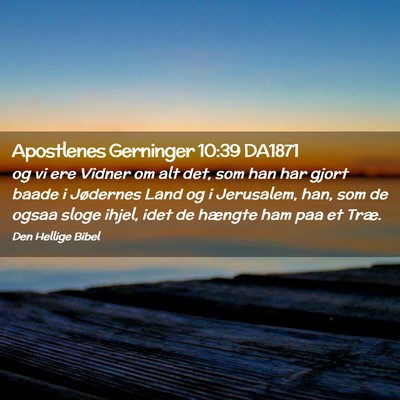 Picture 02 - Apostlenes Gerninger 10:39 DA1871 - og vi ere Vidner om alt det, som han har gjort - Bible Verse Picture