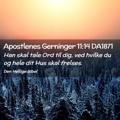 Picture 02 - Apostlenes Gerninger 11:14 DA1871 - Han skal tale Ord til dig, ved hvilke du og hele - Bible Verse Picture