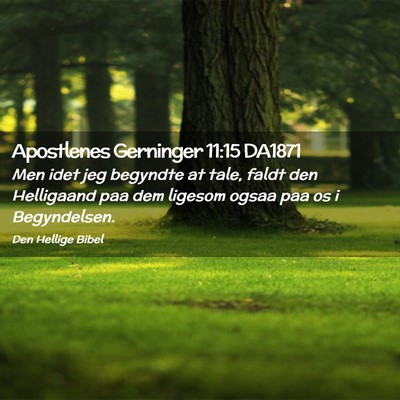 Picture 02 - Apostlenes Gerninger 11:15 DA1871 - Men idet jeg begyndte at tale, faldt den - Bible Verse Picture