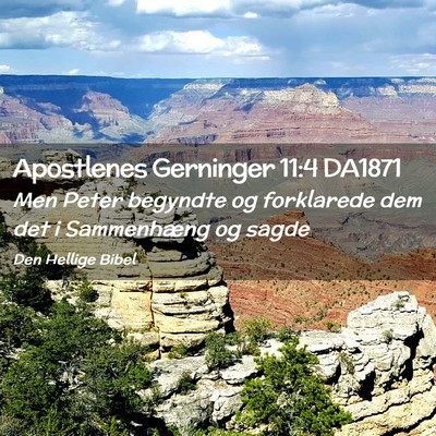 Picture 02 - Apostlenes Gerninger 11:4 DA1871 - Men Peter begyndte og forklarede dem det i - Bible Verse Picture