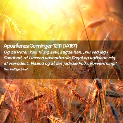 Picture 02 - Apostlenes Gerninger 12:11 DA1871 - Og da Peter kom til sig selv, sagde han: „Nu - Bible Verse Picture