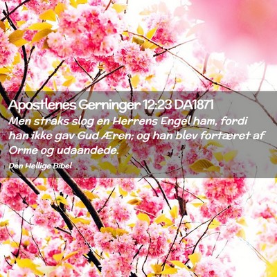 Picture 02 - Apostlenes Gerninger 12:23 DA1871 - Men straks slog en Herrens Engel ham, fordi han - Bible Verse Picture