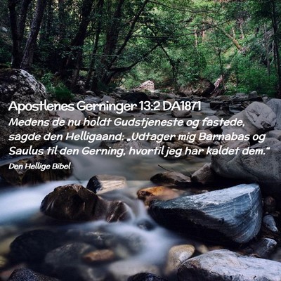Picture 02 - Apostlenes Gerninger 13:2 DA1871 - Medens de nu holdt Gudstjeneste og fastede, sagde - Bible Verse Picture