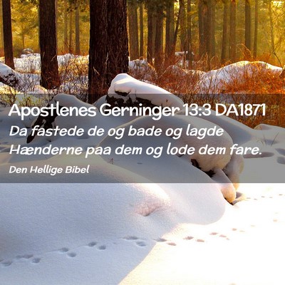 Picture 02 - Apostlenes Gerninger 13:3 DA1871 - Da fastede de og bade og lagde Hænderne paa dem - Bible Verse Picture