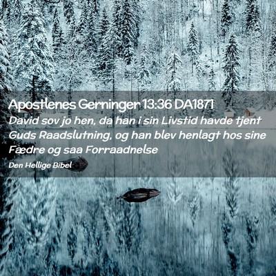 Picture 02 - Apostlenes Gerninger 13:36 DA1871 - David sov jo hen, da han i sin Livstid havde - Bible Verse Picture