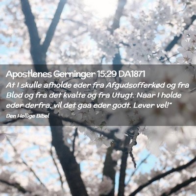 Picture 02 - Apostlenes Gerninger 15:29 DA1871 - At I skulle afholde eder fra Afgudsofferkød og - Bible Verse Picture