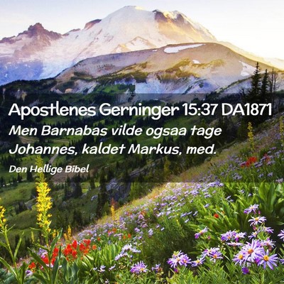 Picture 02 - Apostlenes Gerninger 15:37 DA1871 - Men Barnabas vilde ogsaa tage Johannes, kaldet - Bible Verse Picture