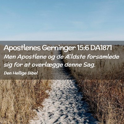 Picture 02 - Apostlenes Gerninger 15:6 DA1871 - Men Apostlene og de Ældste forsamlede sig for at - Bible Verse Picture