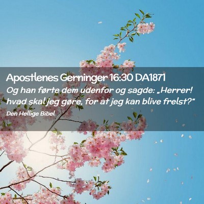 Picture 02 - Apostlenes Gerninger 16:30 DA1871 - Og han førte dem udenfor og sagde: „Herrer! - Bible Verse Picture