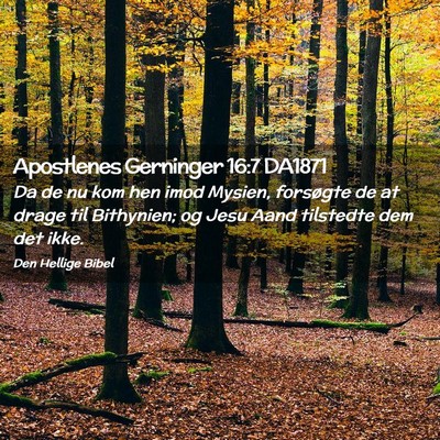Picture 02 - Apostlenes Gerninger 16:7 DA1871 - Da de nu kom hen imod Mysien, forsøgte de at - Bible Verse Picture