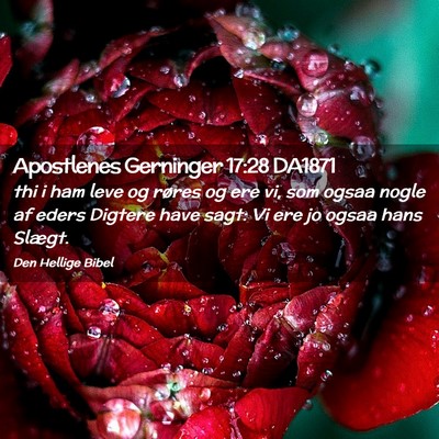 Picture 02 - Apostlenes Gerninger 17:28 DA1871 - thi i ham leve og røres og ere vi, som ogsaa - Bible Verse Picture