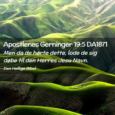 Picture 02 - Apostlenes Gerninger 19:5 DA1871 - Men da de hørte dette, lode de sig døbe til den - Bible Verse Picture