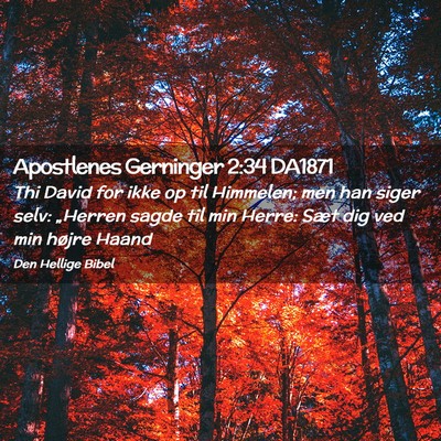 Picture 02 - Apostlenes Gerninger 2:34 DA1871 - Thi David for ikke op til Himmelen; men han siger - Bible Verse Picture