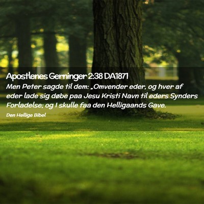 Picture 02 - Apostlenes Gerninger 2:38 DA1871 - Men Peter sagde til dem: „Omvender eder, og - Bible Verse Picture