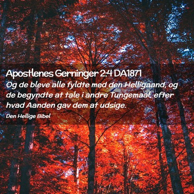 Picture 02 - Apostlenes Gerninger 2:4 DA1871 - Og de bleve alle fyldte med den Helligaand, og de - Bible Verse Picture
